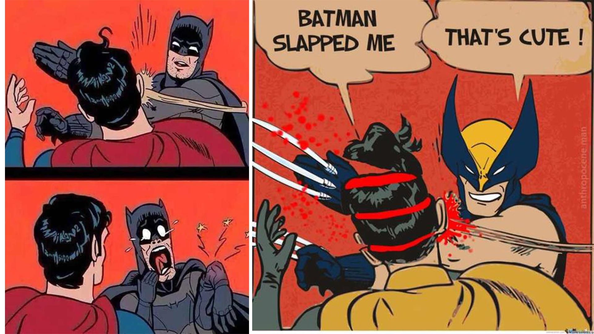 15 Savage Batman Slapping Robin Memes That Will Have You Laughing Like Craz...