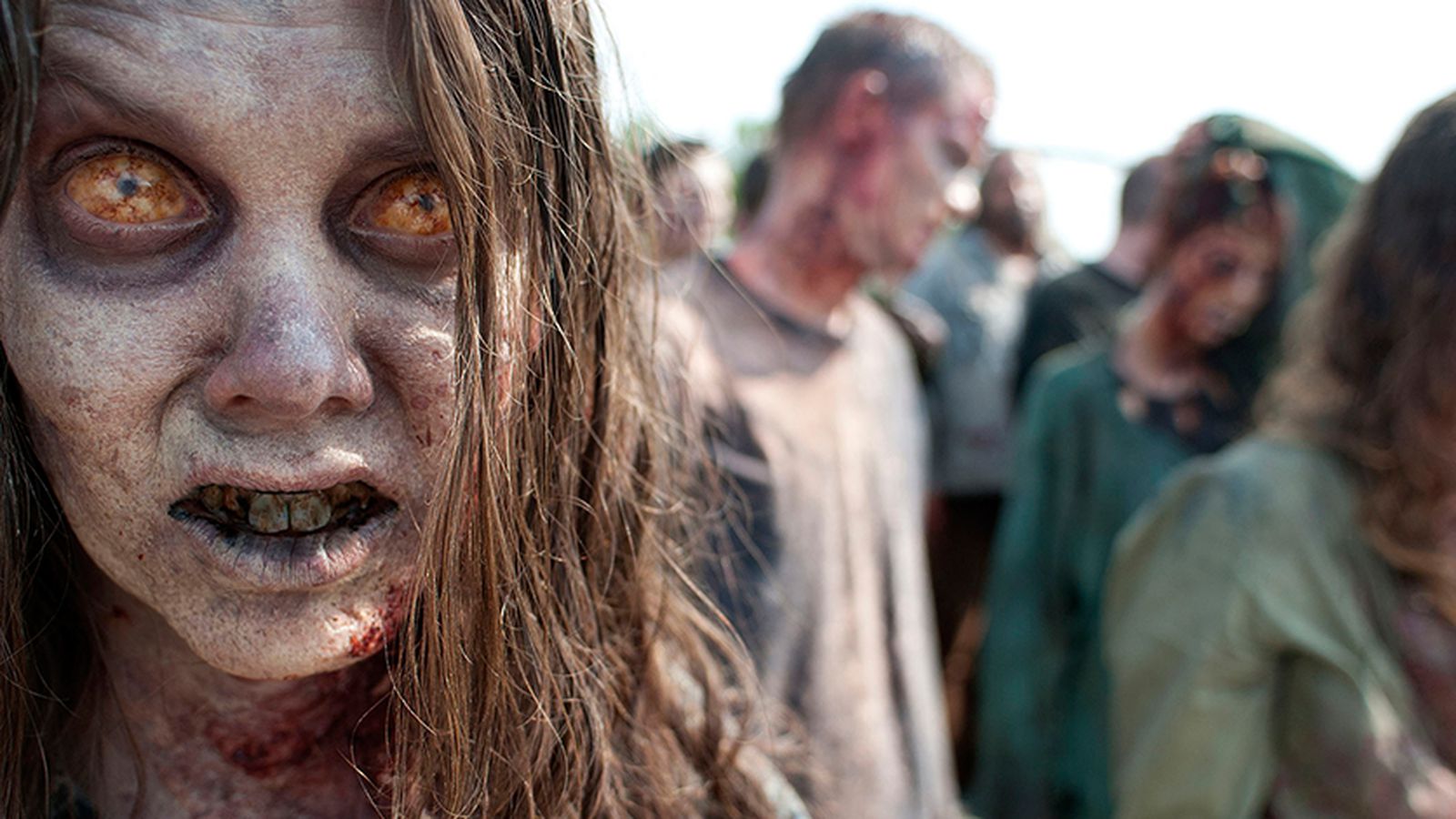 The Walking Dead Zombies The Walking Dead Zombies