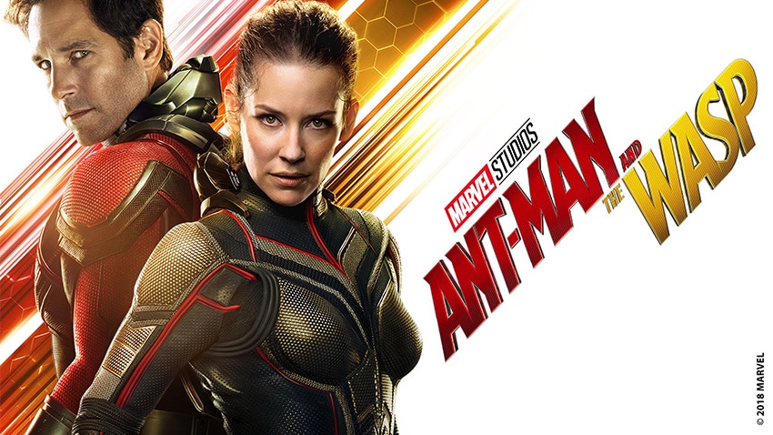 The Wasp