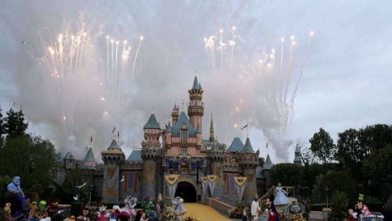 Fight breaks out at Disneyland. Pic courtesy: vibe.com