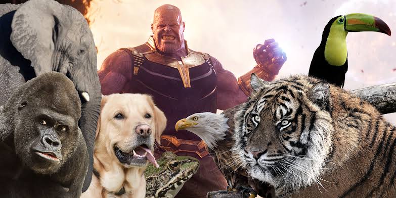 Thanos's Snap killed half of all animal and plant life too. Pic courtesy: inverse.com