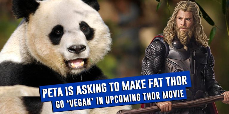 PETA Wants Taika Waititi To Make Fat Thor Go Vegan In Thor 4