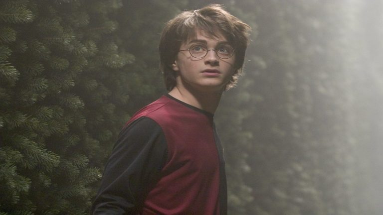10 Events In Harry Potter That Hold Absolutely No Meaning In The Real World!!!