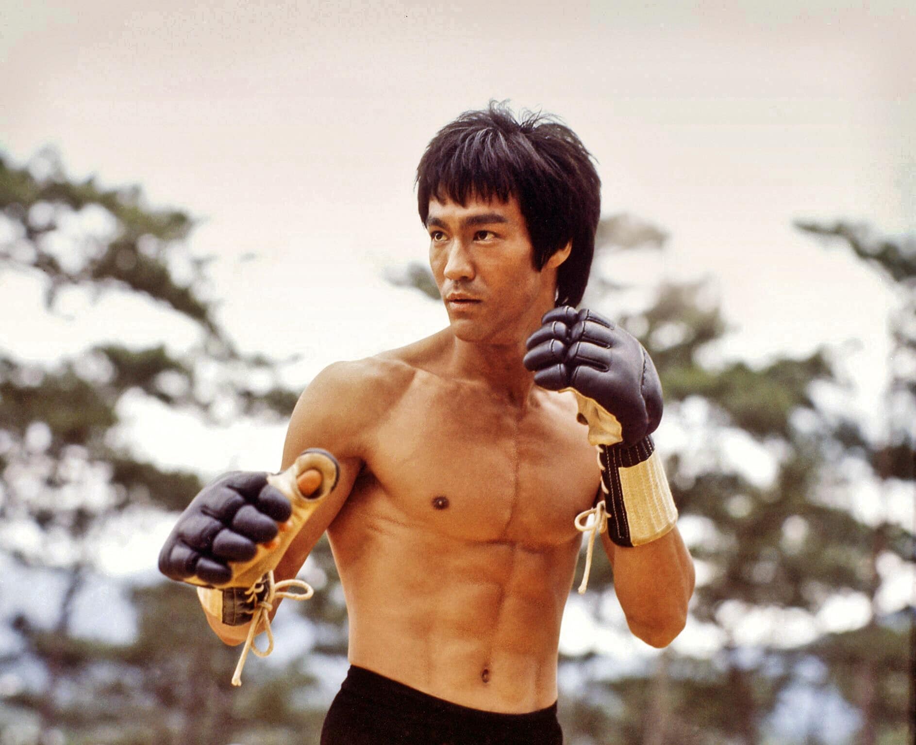 The Real Reason Kung Fu Legend Bruce Lee Made Only One Hollywood Movie -  Animated Times