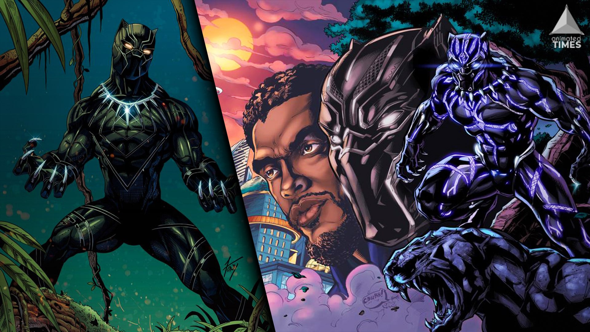 10 Black Panther Fan Arts Better Than The MCU Version - Animated Times