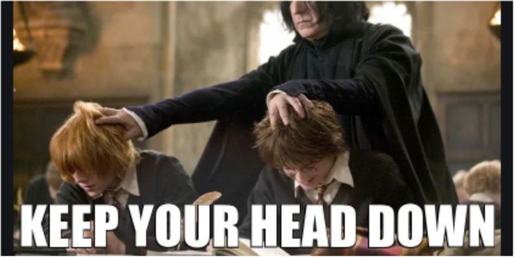Harry Potter: Memes That Prove Snape Secretly Cared For Harry All Along -  Animated Times