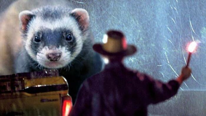 Someone replaced Dinosaurs with Ferrets in Jurassic Park, and it's adorable & funny
