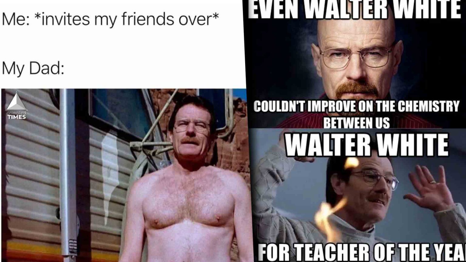 Breaking Bad 10 Hilarious Walter White Memes! Animated Times