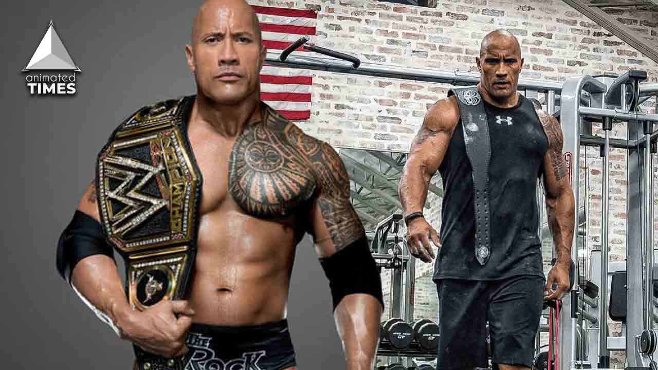 The Rock Silences Fans Criticising His Lack of Abs By Revealing The Real  Reason Behind It - Animated Times