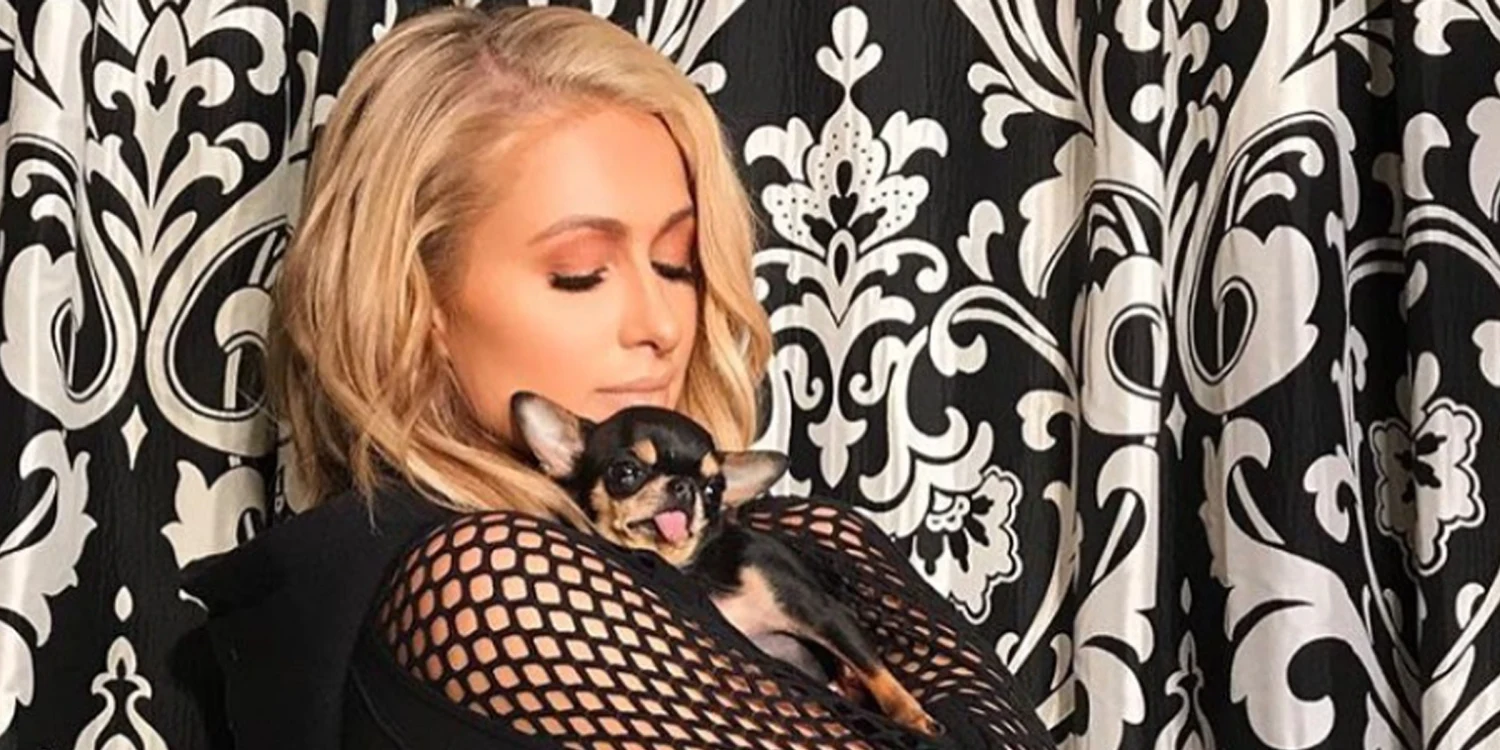 Paris Hilton offers "big reward" for whoever will return Diamond Baby