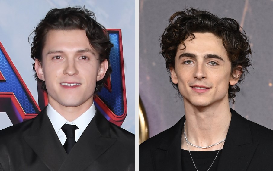 tom holland and timothee chalamet