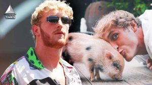'Absolutely disgusting': Fans in Shock after $45M Rich Logan Paul's Pig Was Reportedly Found 'Nearly Dead, Abandoned and Maimed'