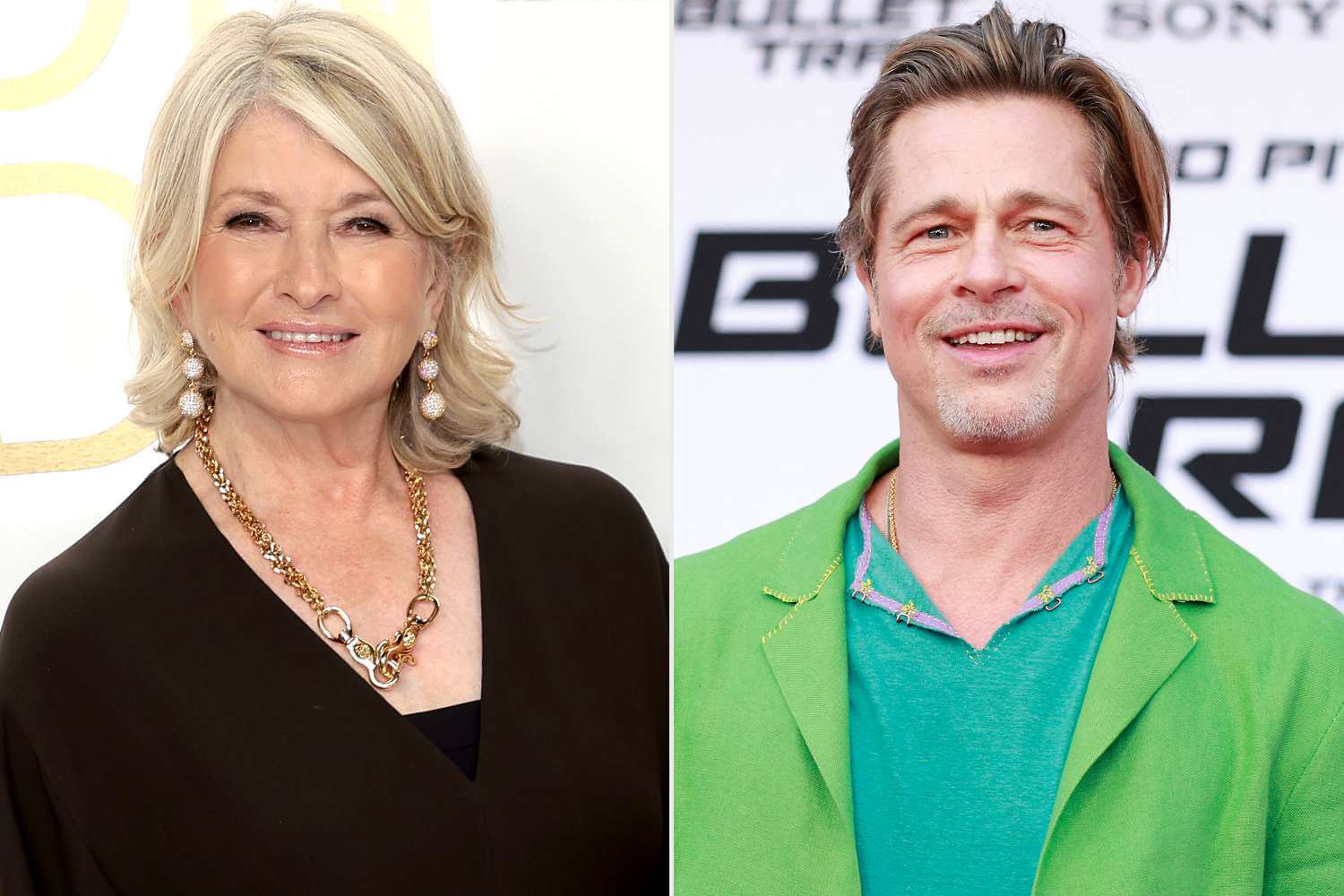 Martha Stewart and Brad Pitt