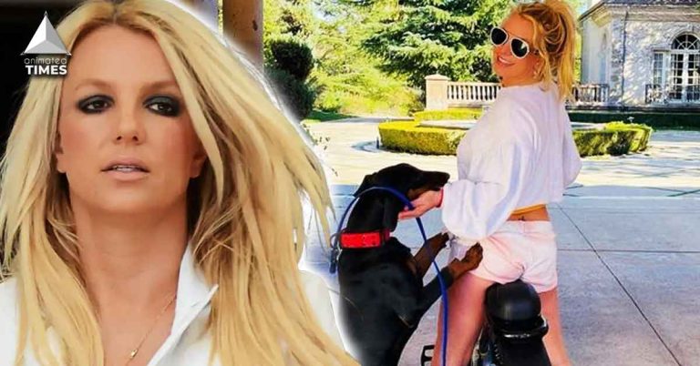  If Her Family Ripping Her to Pieces Wasn't Enough, Even Britney Spears' Dogs are Biting Her in the A** - Animal Control Warns Her after Singer's Dog 'Porsha' Viciously Attacks Senior Citizen