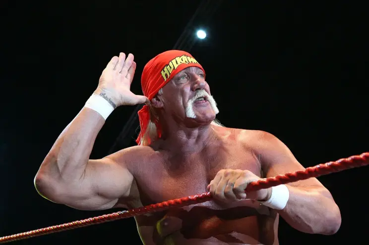 Former WWE star Hulk Hogan 