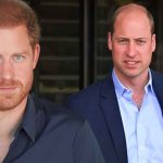 "He was supposed to save me": Prince Harry Details How the Fights He Had With Prince William on His Side Went For Him