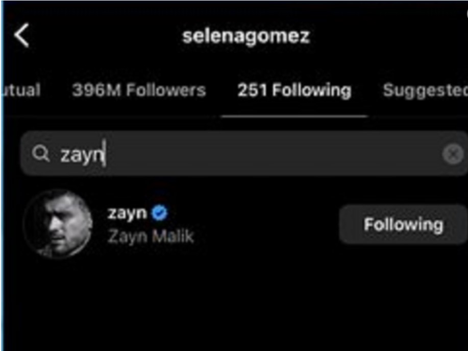 Did Zayn Malik Follow Selena Gomez Back on Instagram?